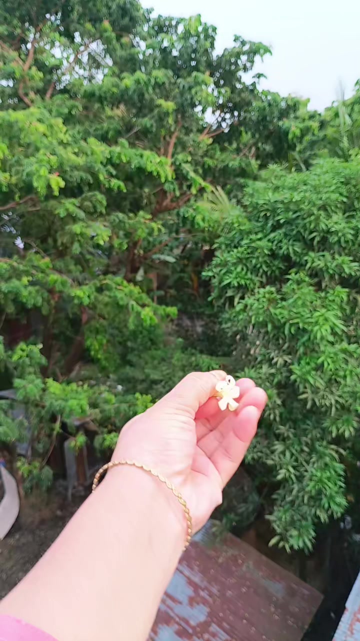 @đĨ° āĻŽāĻž-āĻŦāĻžāĻŦāĻžāϰ āϰāĻžāĻāĻāύā§āϝāĻž đĨ°