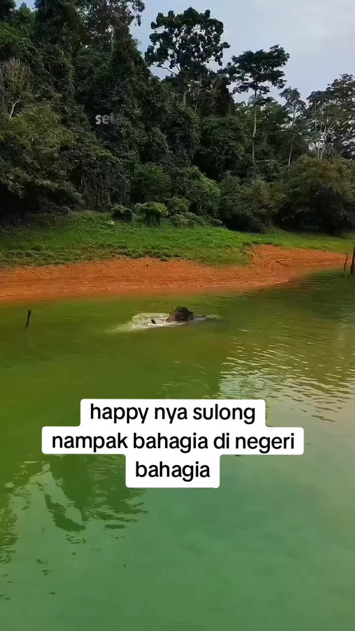 @kailan ikan masin