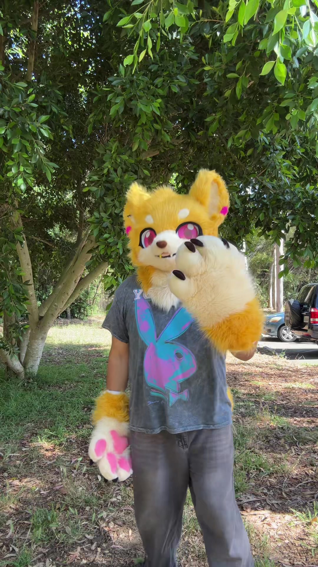 @Tenko🐾