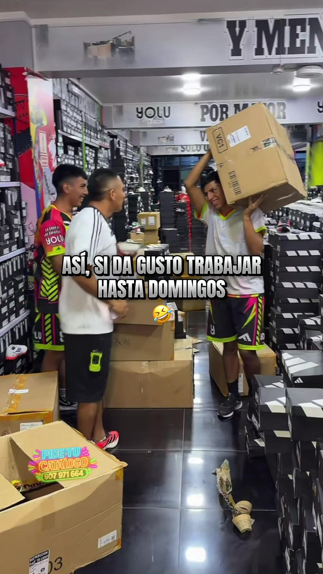 @gatitoclips1.0