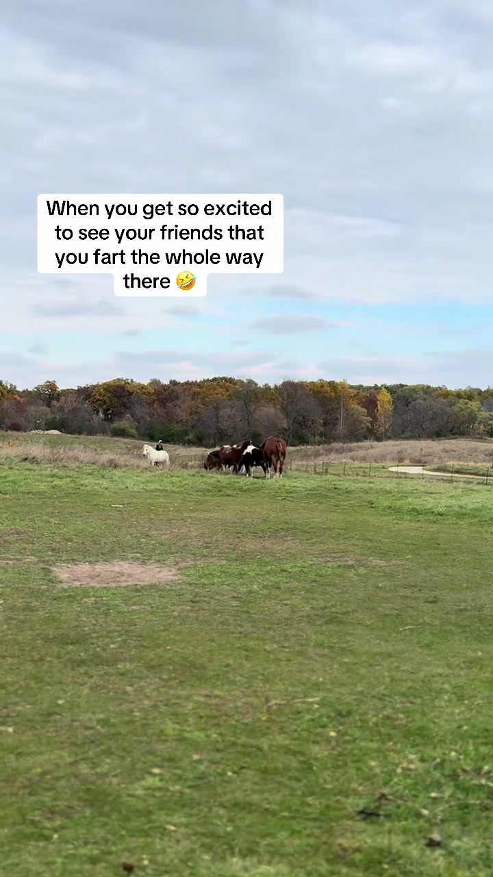 @GreenMeadowsFarmWi