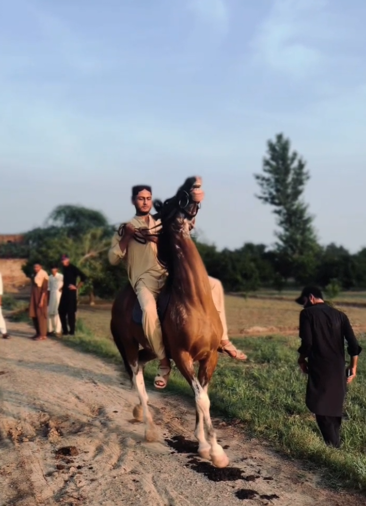 @شایان⚜️
