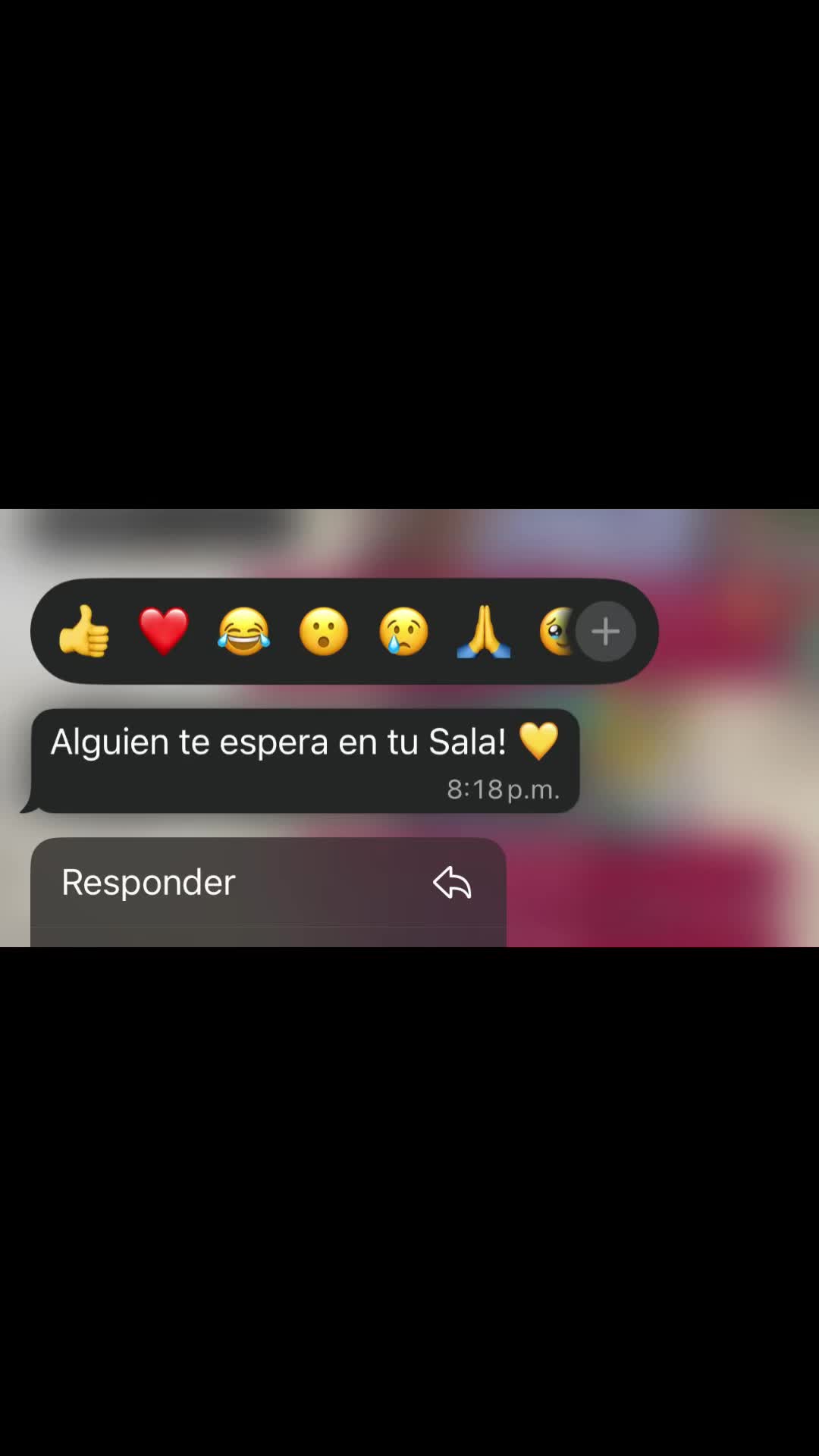 @🩷✨Graxiie ✨🩷