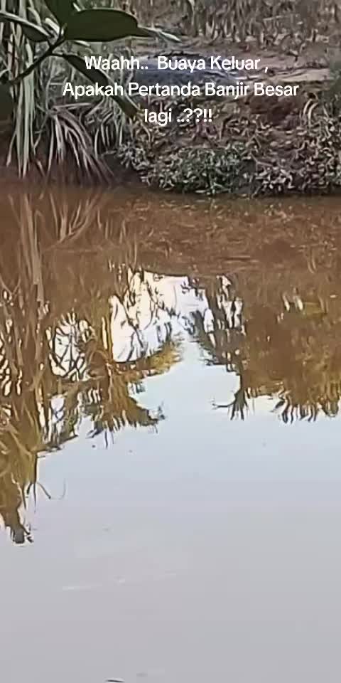 @zartdhy🇲🇨