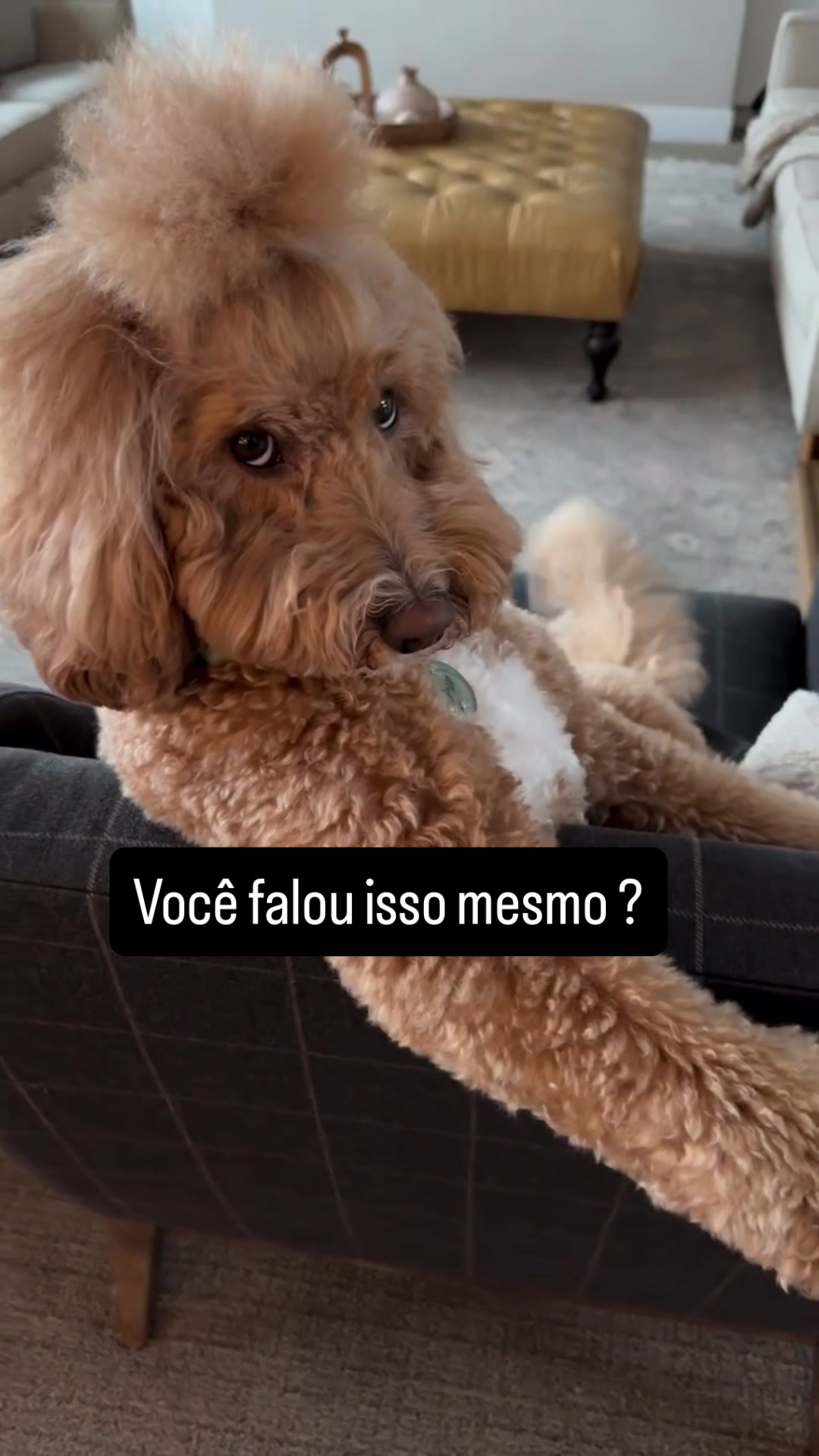 @Lusitonio Machado Do