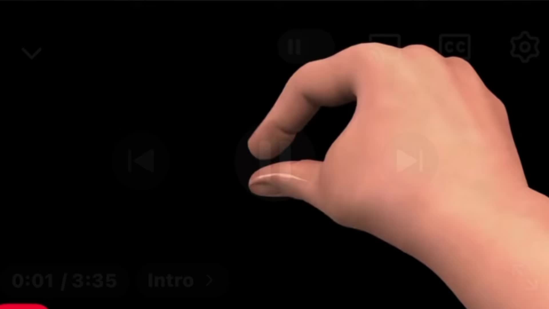 @chomik647