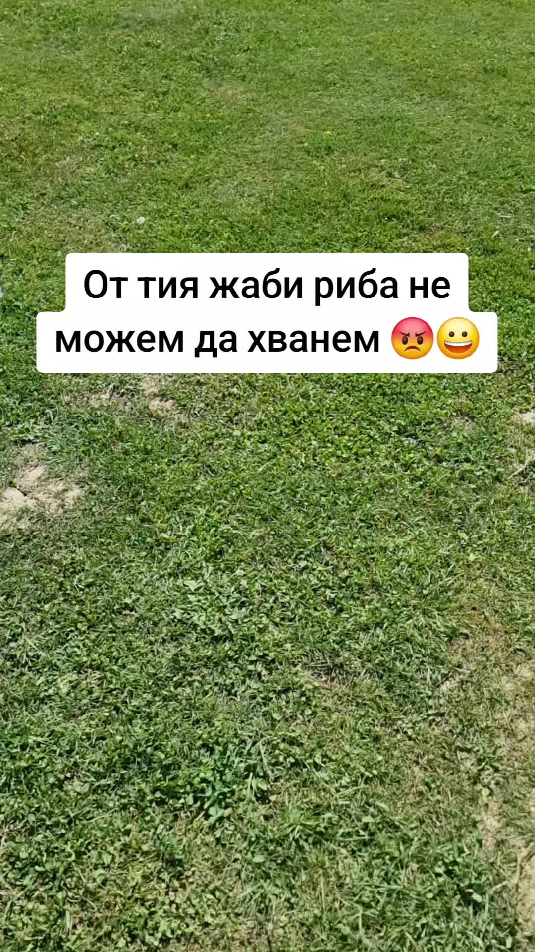 @👑♑️ М Ъ Р Ф И ♑️👑