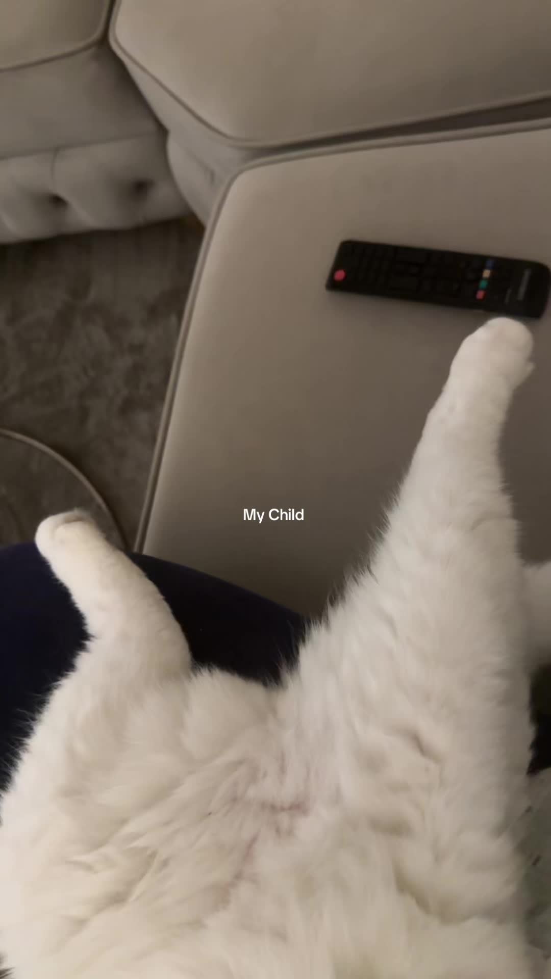 @mulan🌺