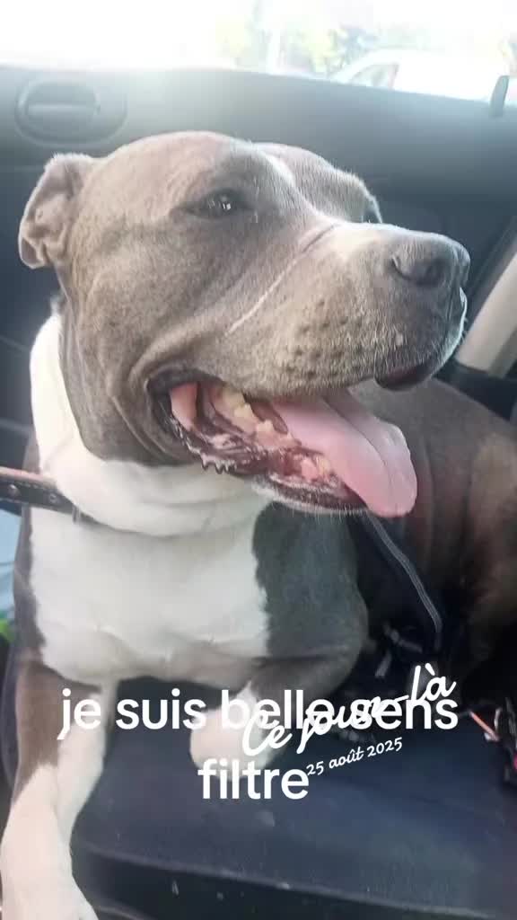 @Mireillevolletber