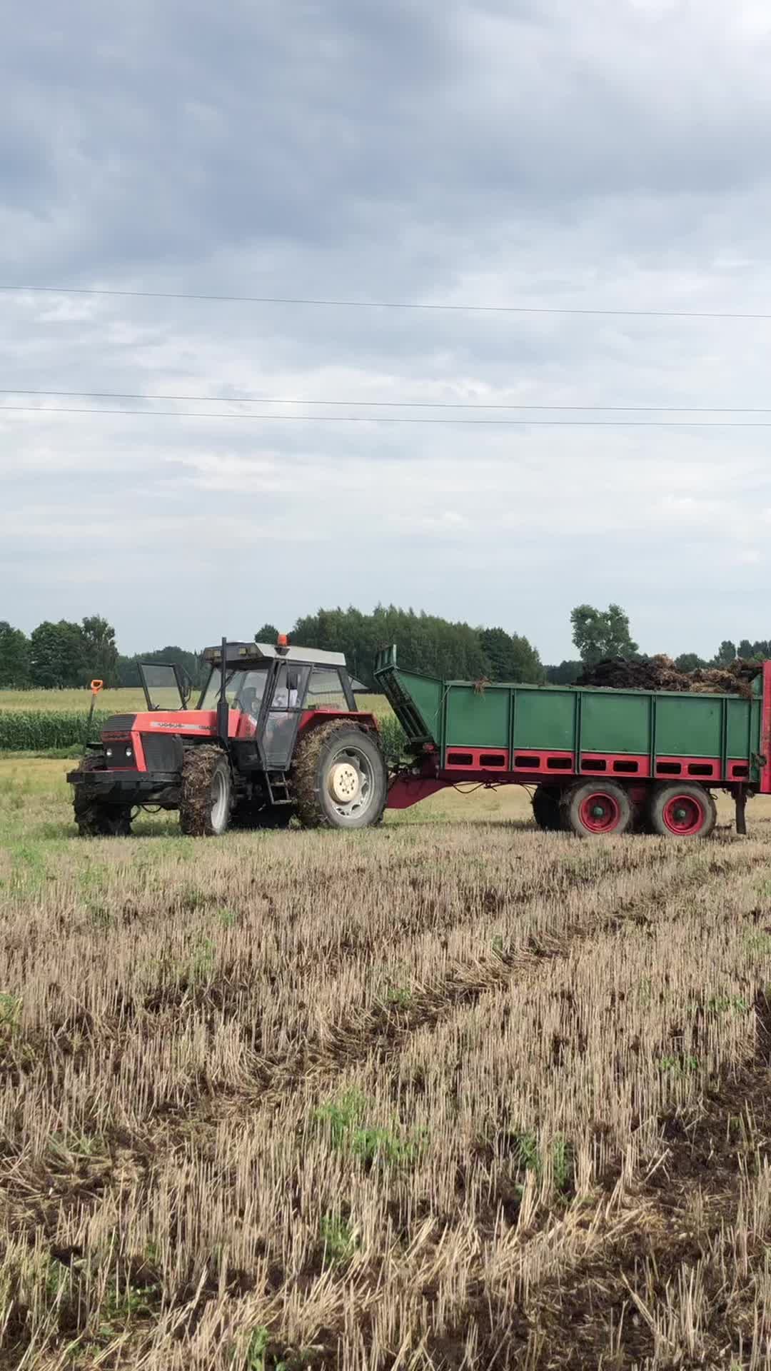 @Gr_głuchowscy