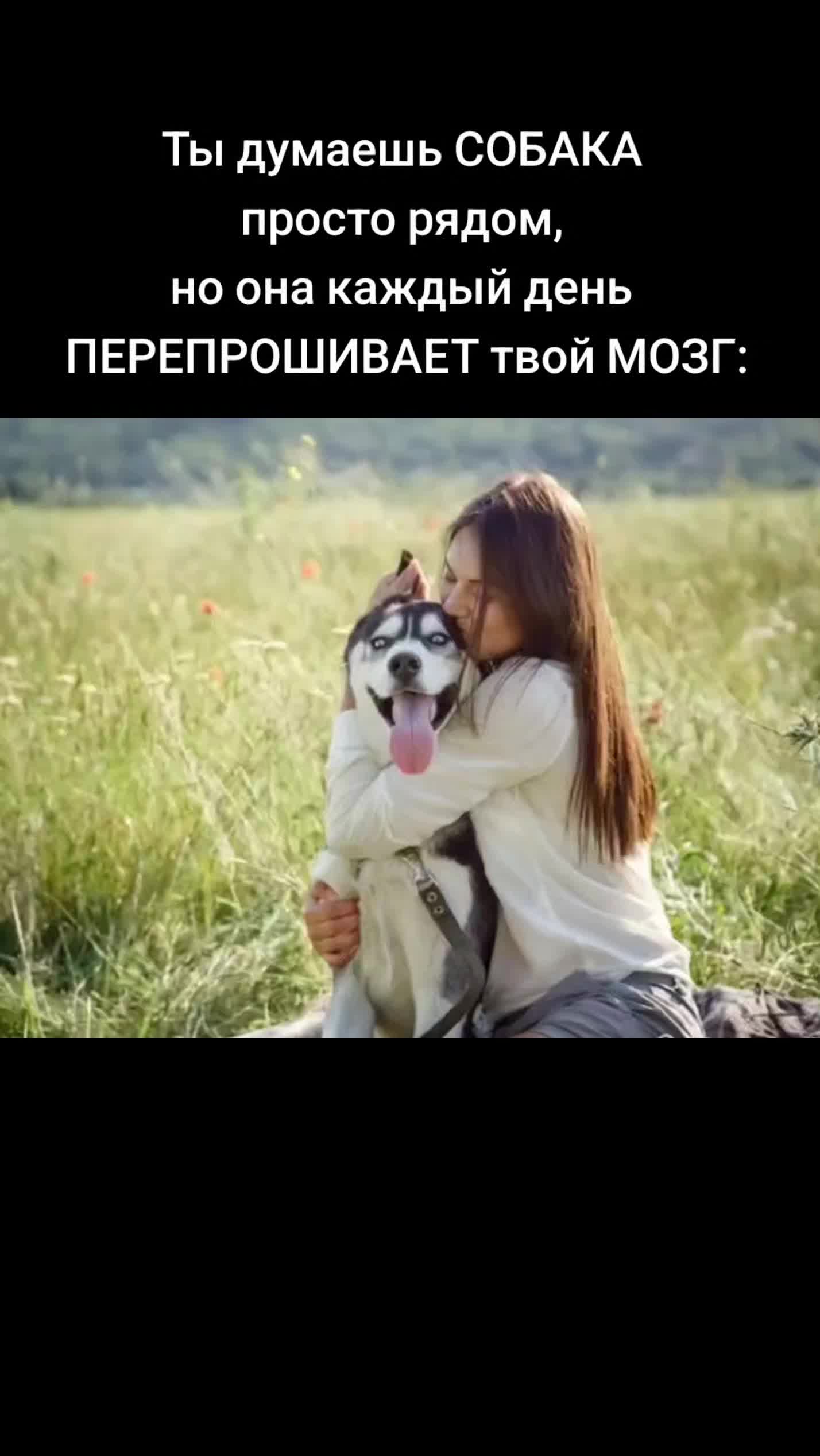 @Алёна Веста
