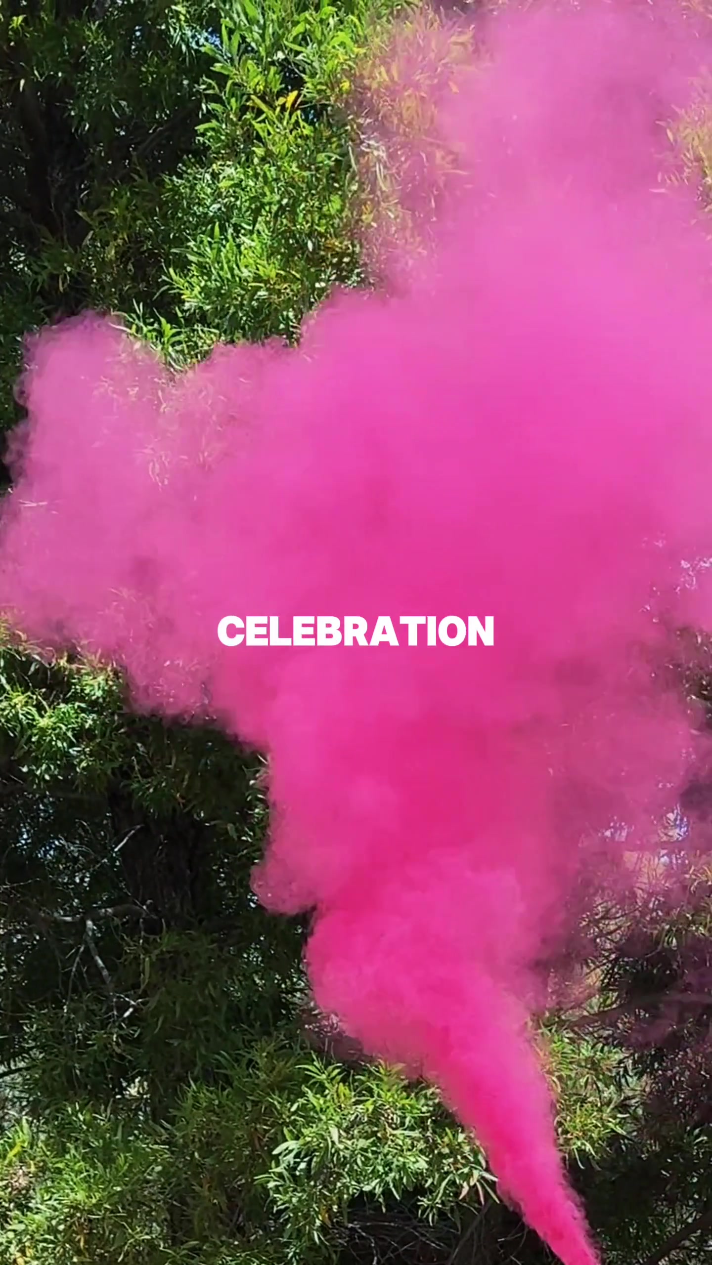 @celebrationhq