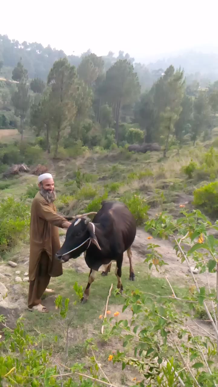 @Khan Muhammad