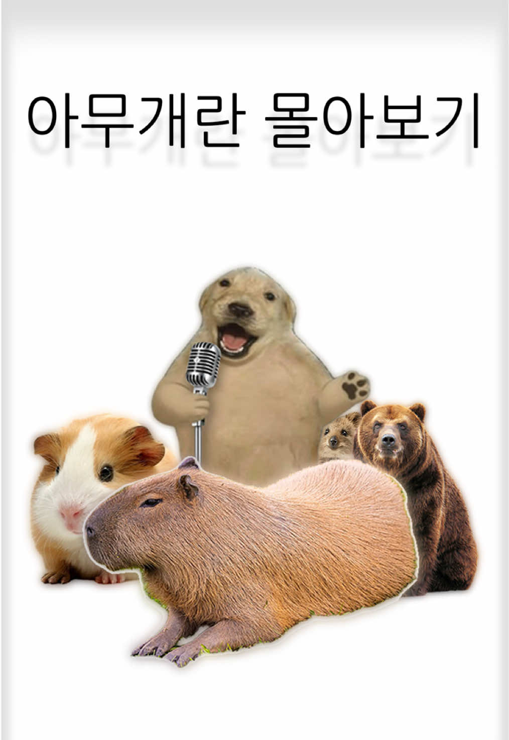 @아무개란