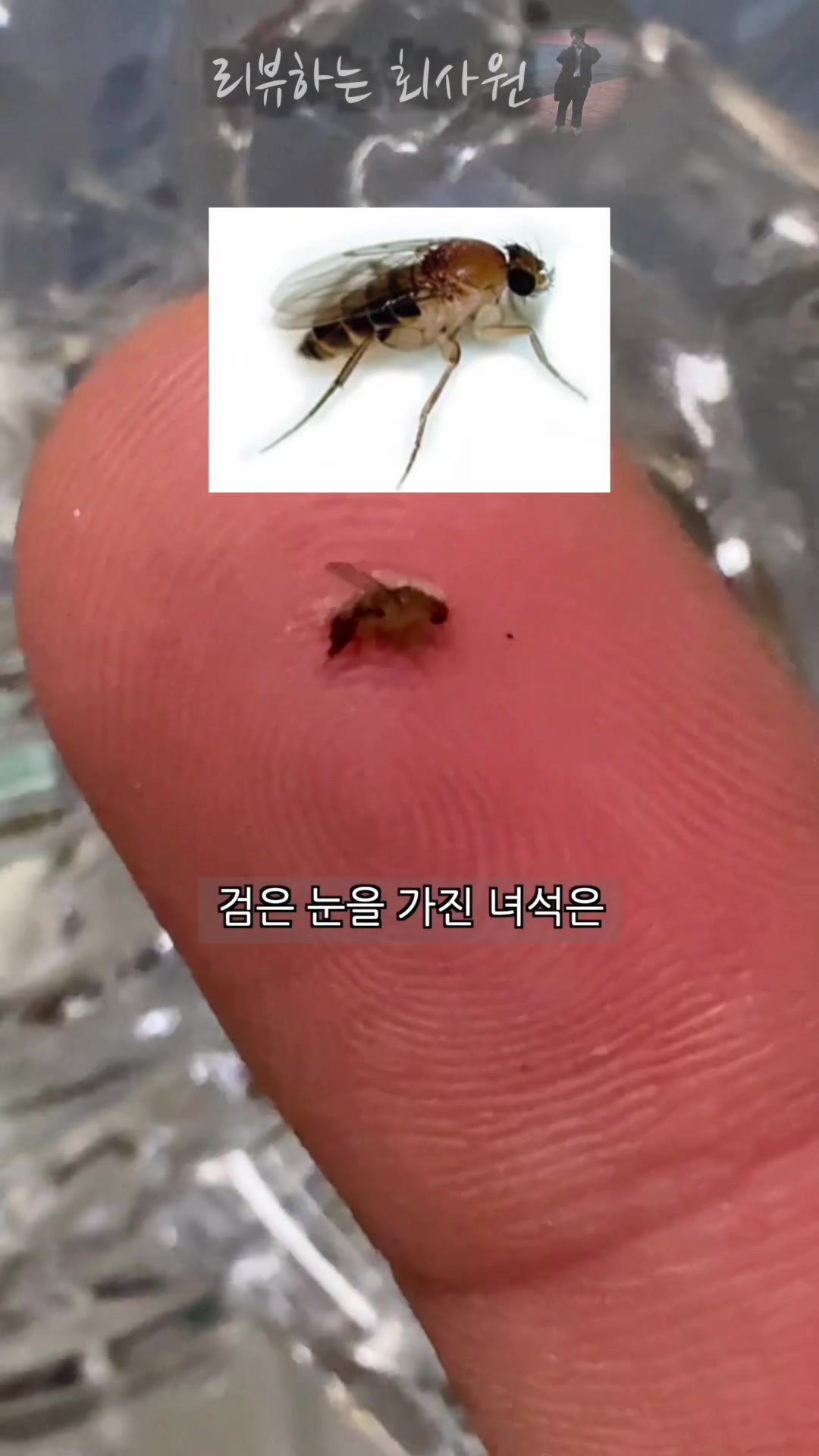 @리뷰하는회사원