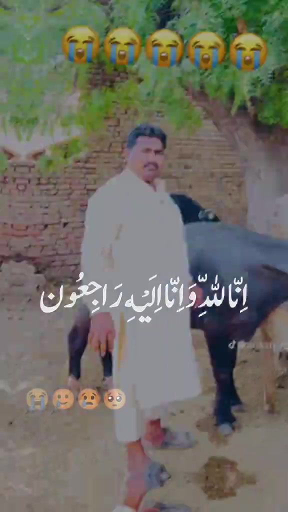 @🦋Asغhar Guجar 804