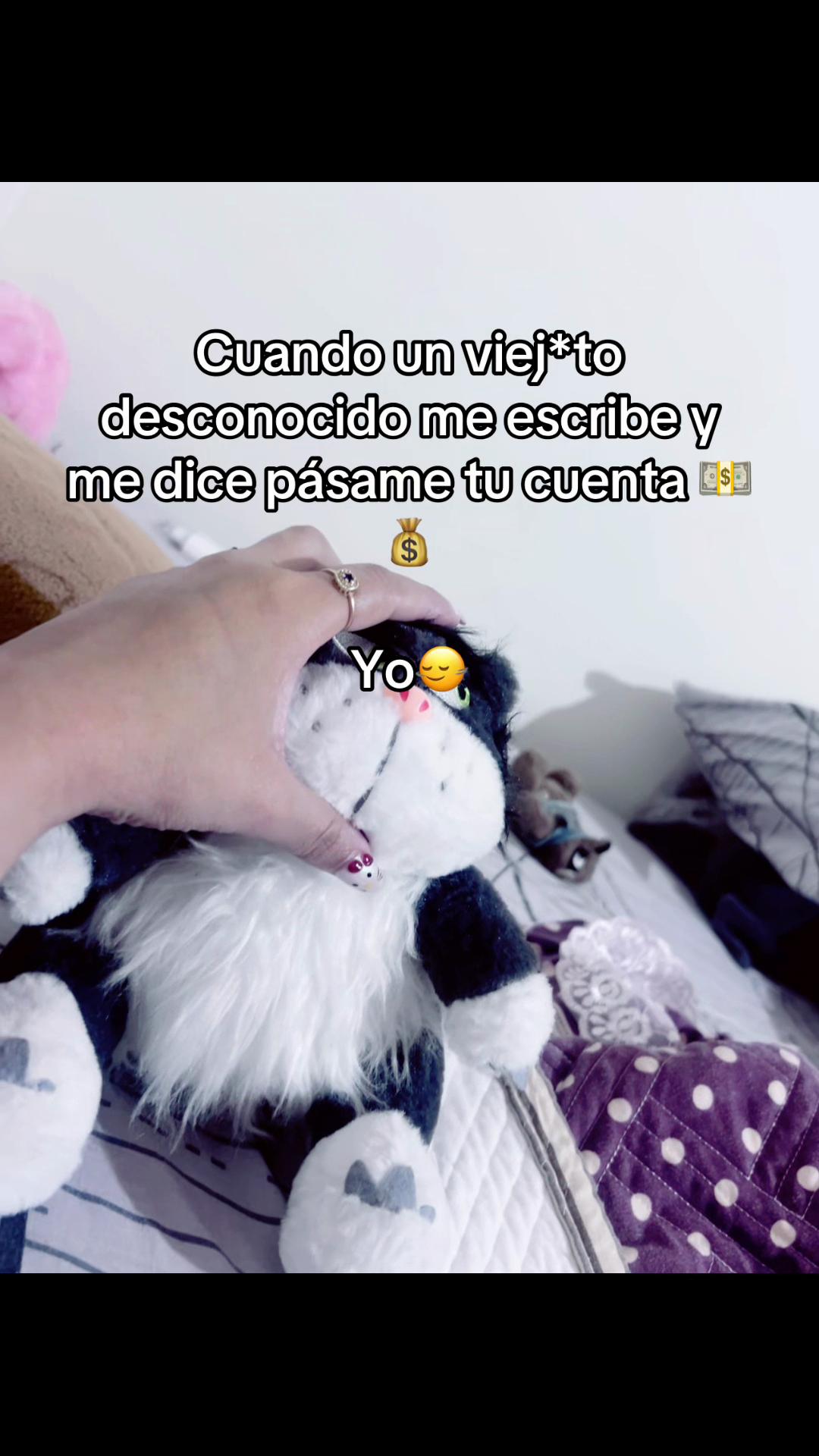 @sofybaez65