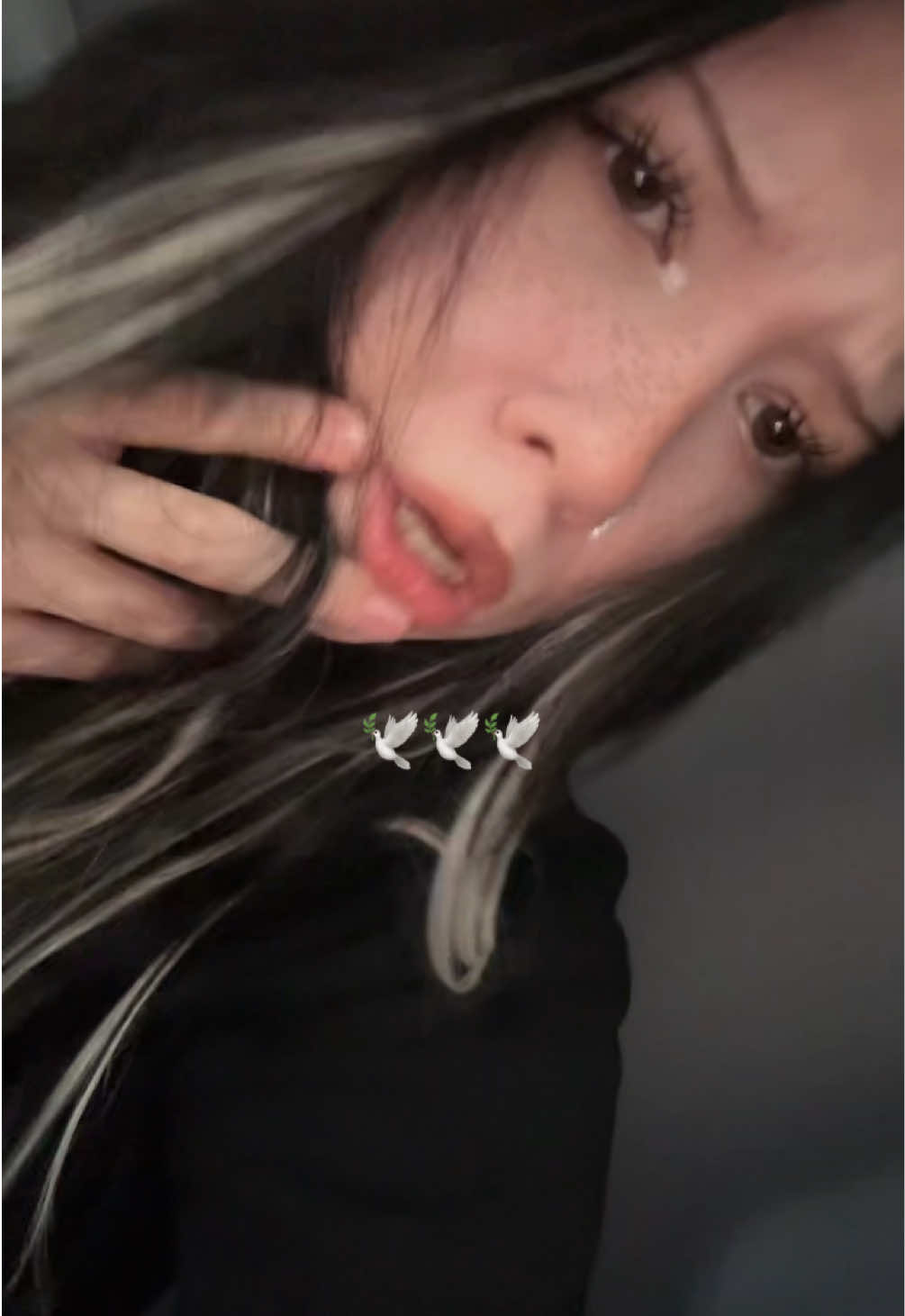 @.pllxxs