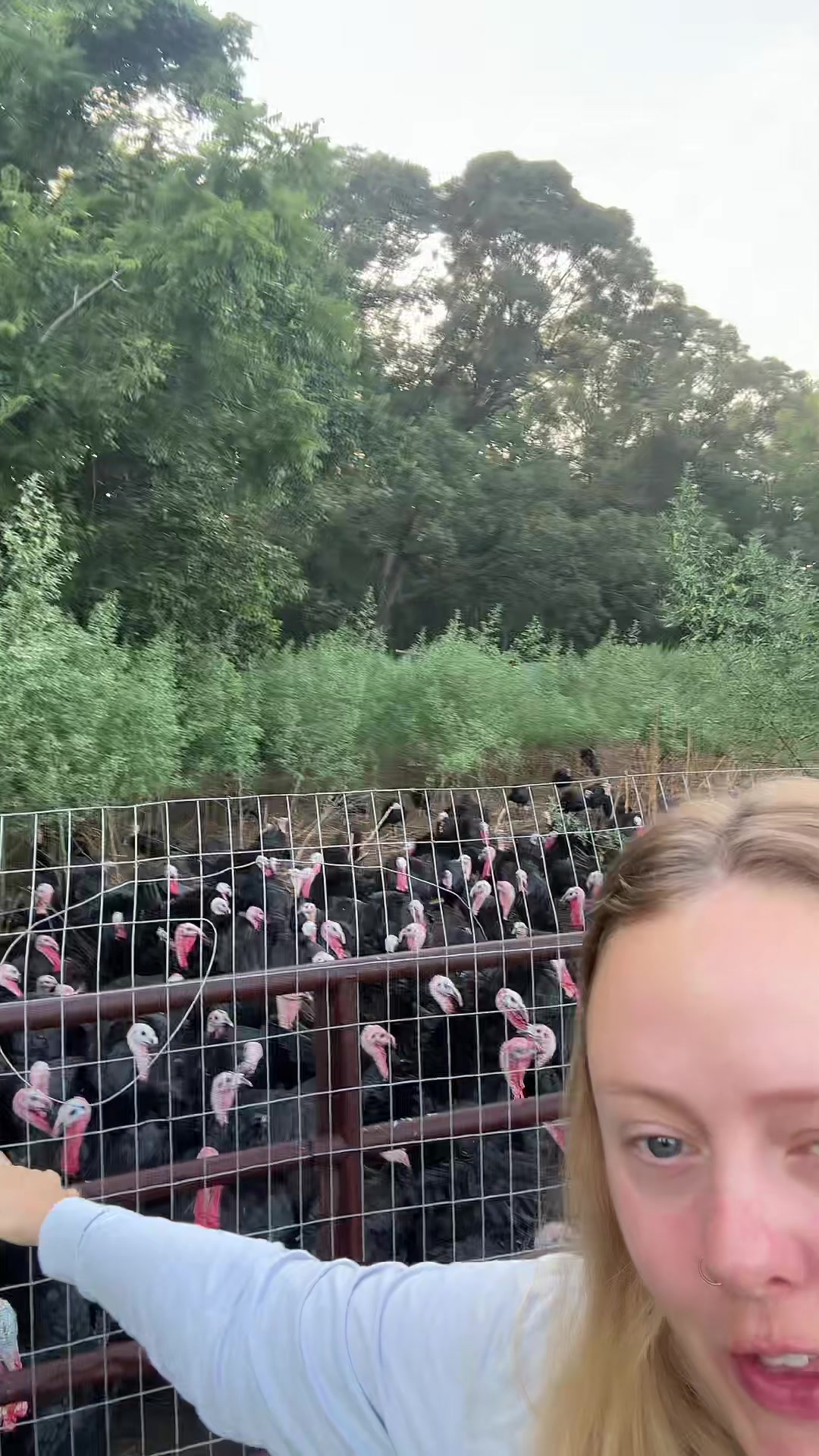 @farmerandtheharpiist
