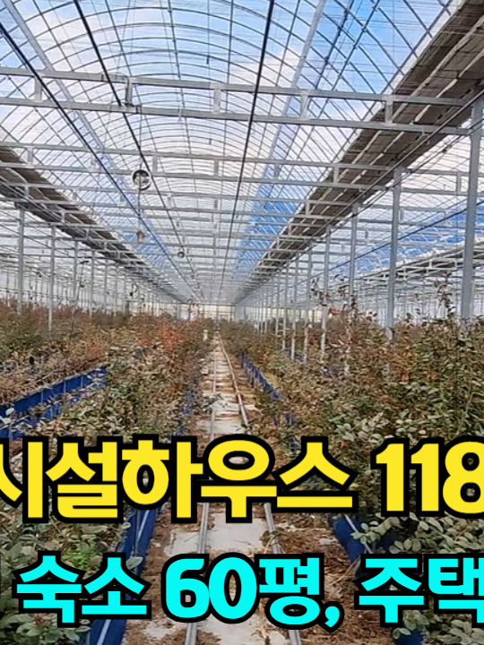 @민랜드부동산