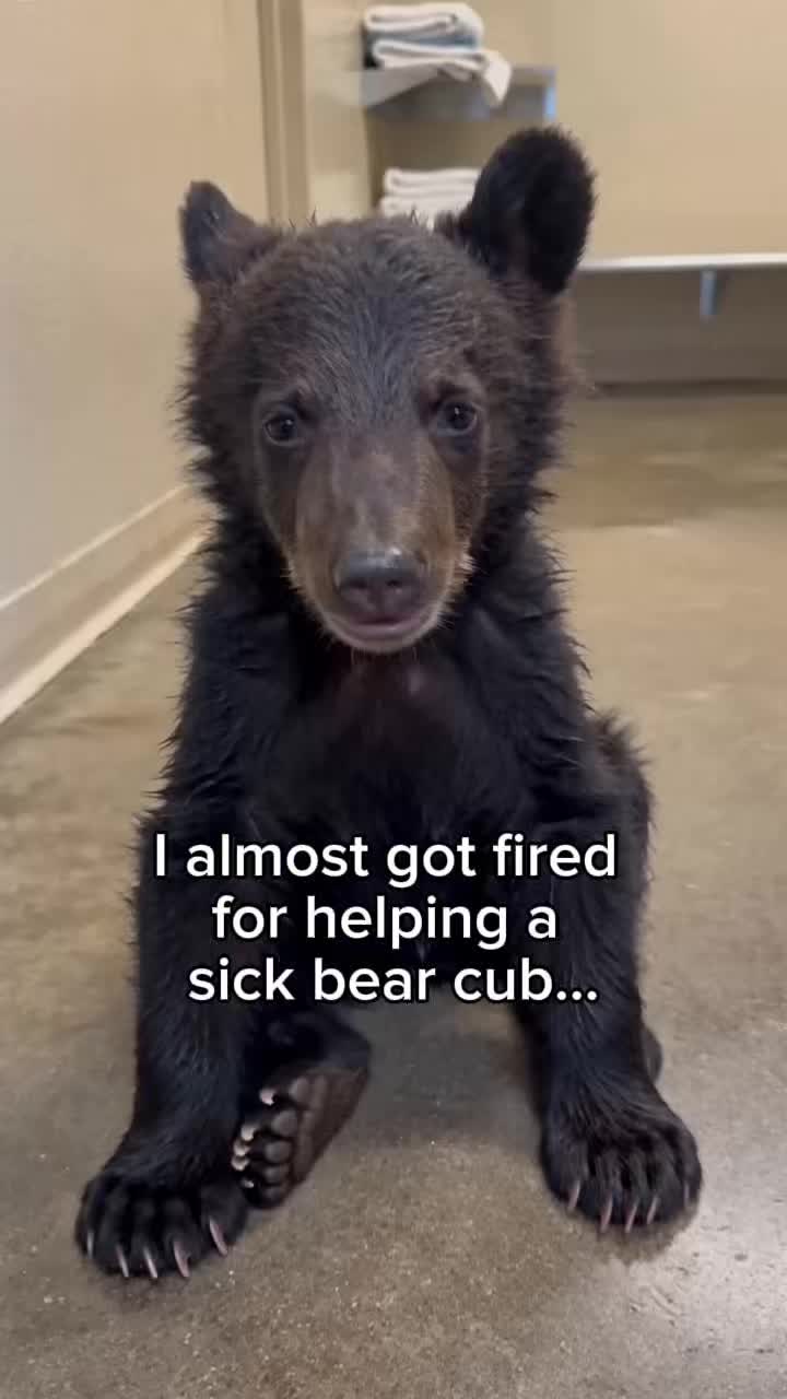 @StoriezTold 🐶
