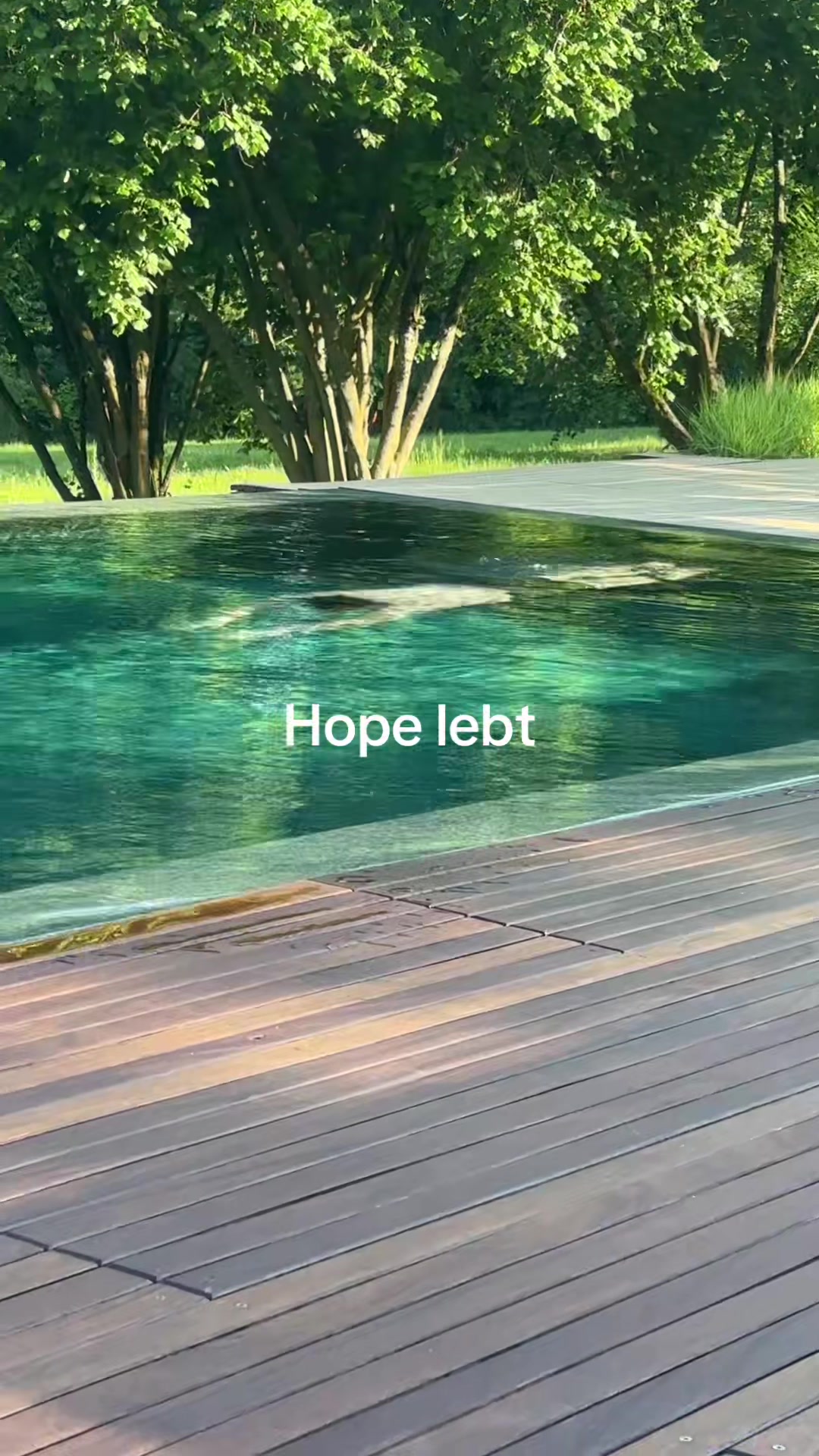 @Henry_Rittmeister