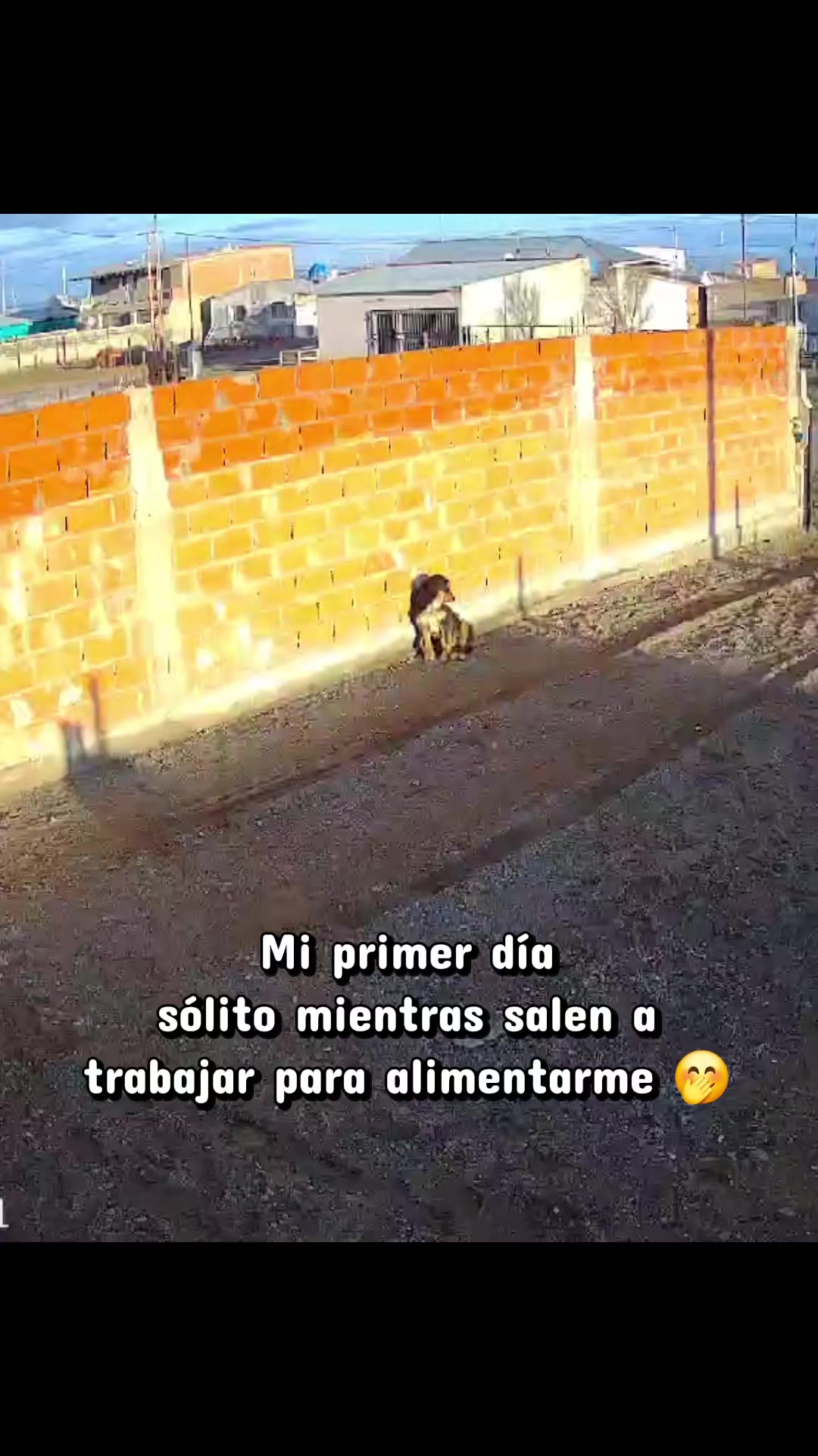 @Ro Alonso