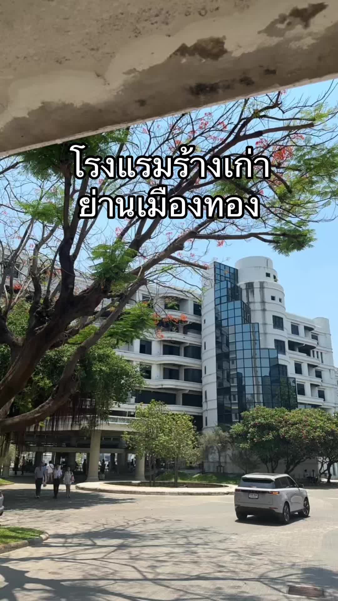 @PB(ผักบุ้ง)
