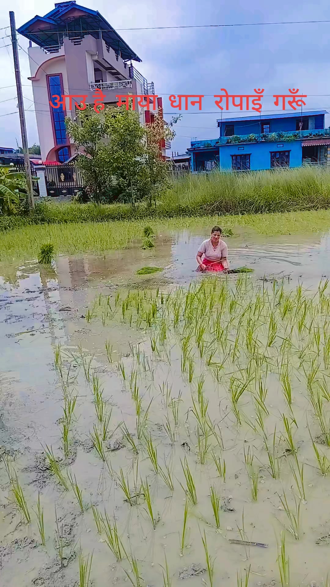 @Manisha Basnet