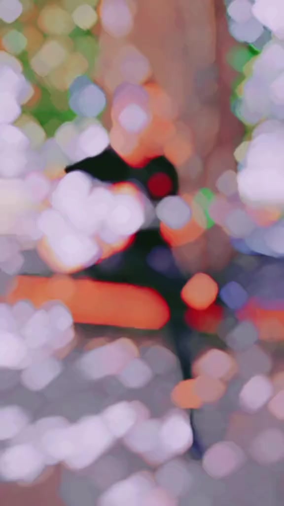 @🌹{𝐒𝐇𝐀𝐊𝐈𝐁 𝐊𝐇𝐀𝐍}🌹✔️