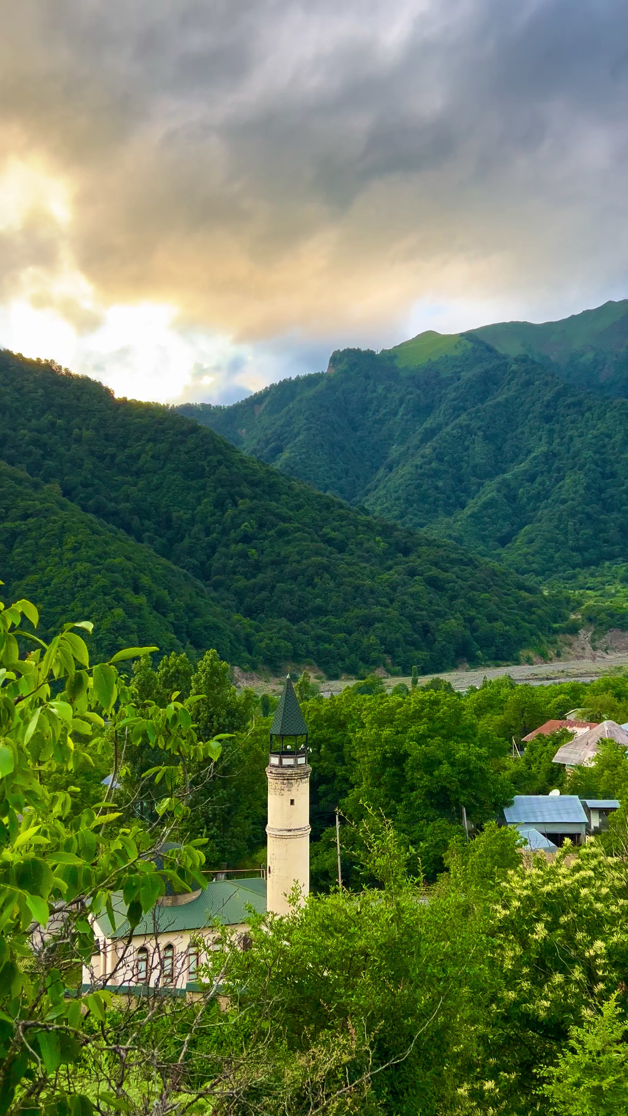 @𝑨𝒅𝒊𝒍𝒐𝒗🌿