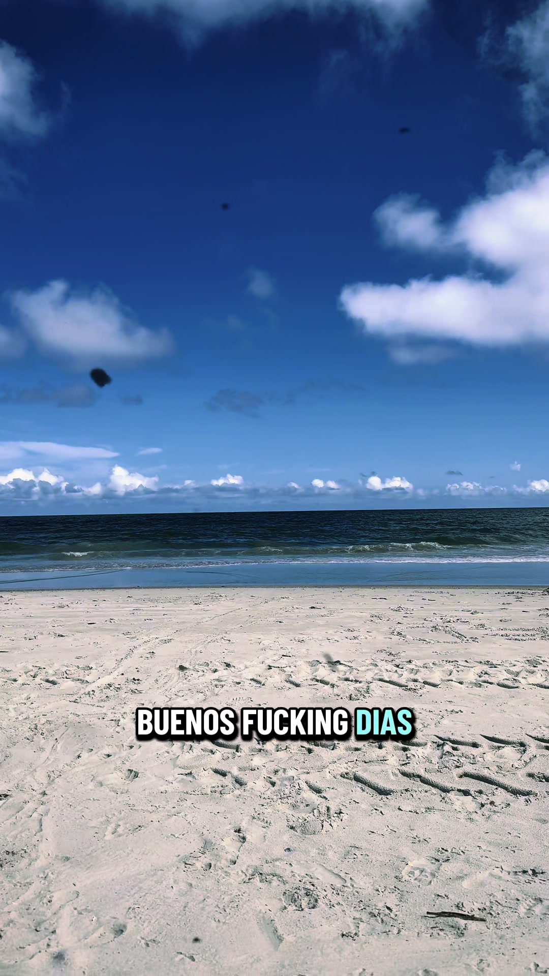 @SarcasmSunrise