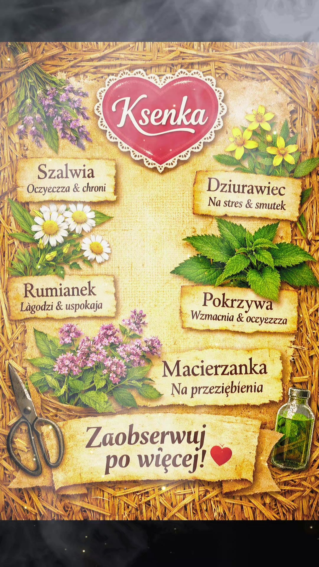 @Perła Maugiurie