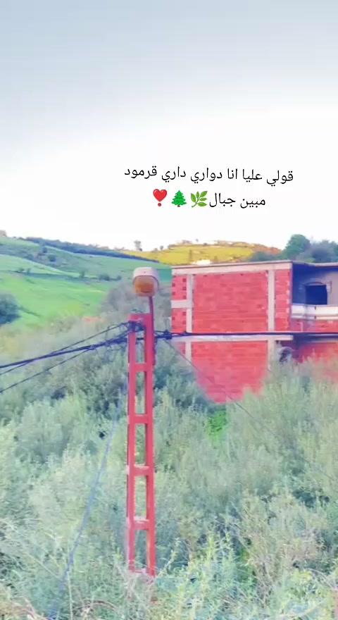@walid lattafi