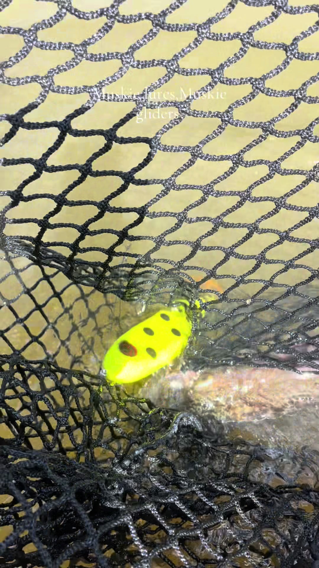 @JW Lures