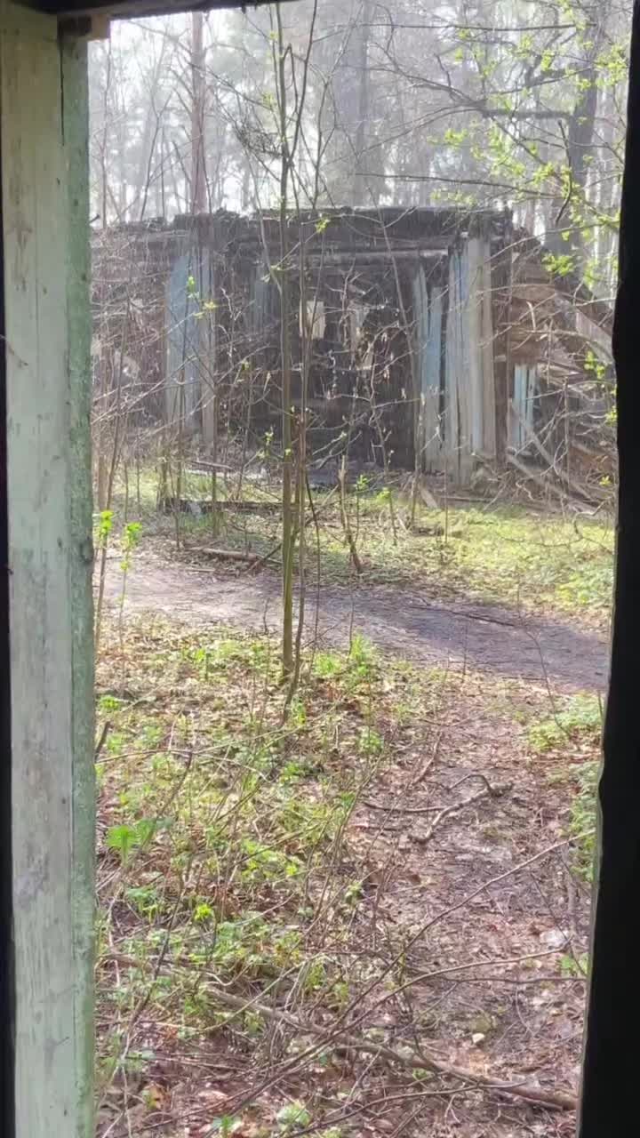 @шешель