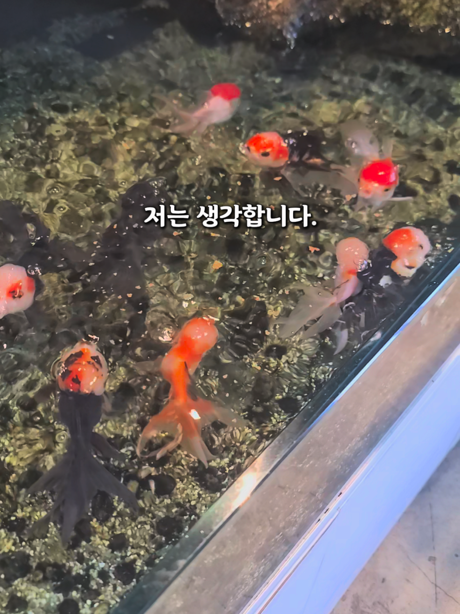 @[토박]할수있다