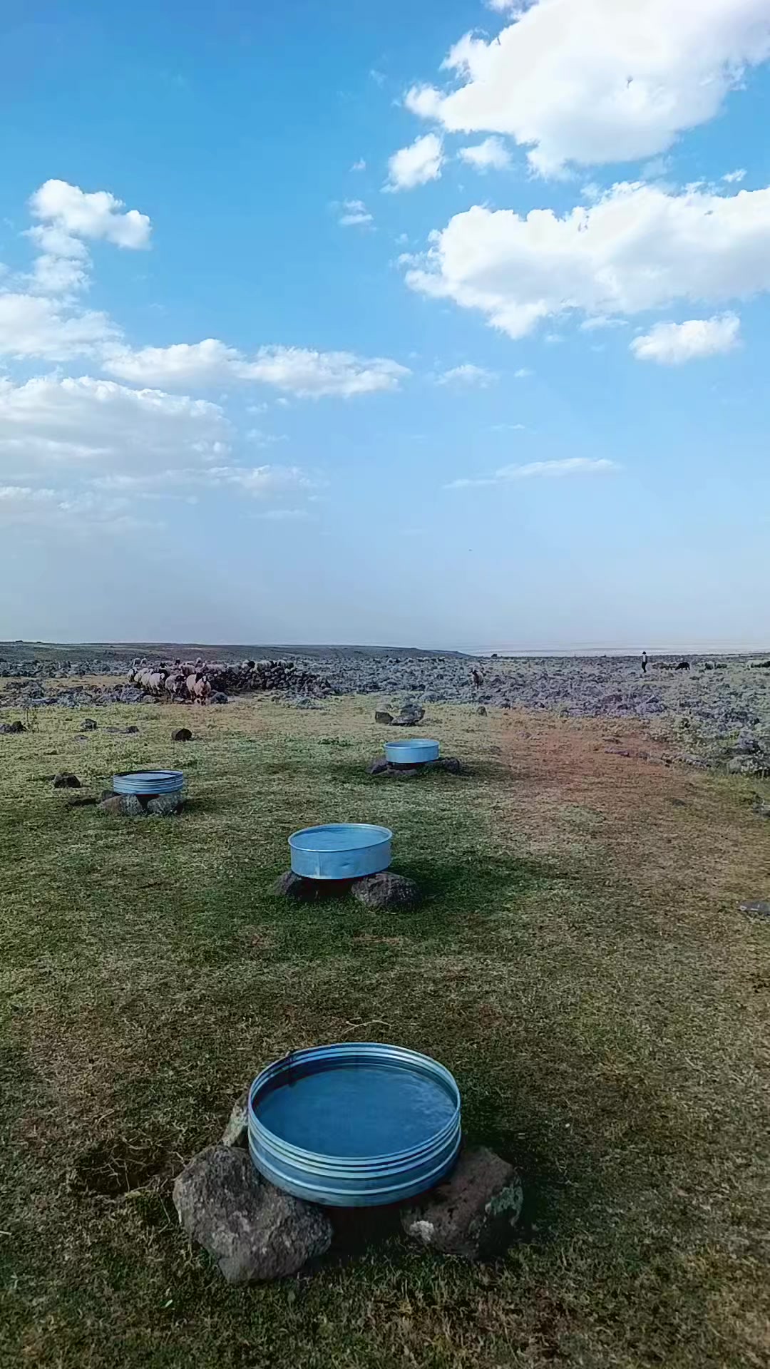 @Süleyman21 🐊🐊