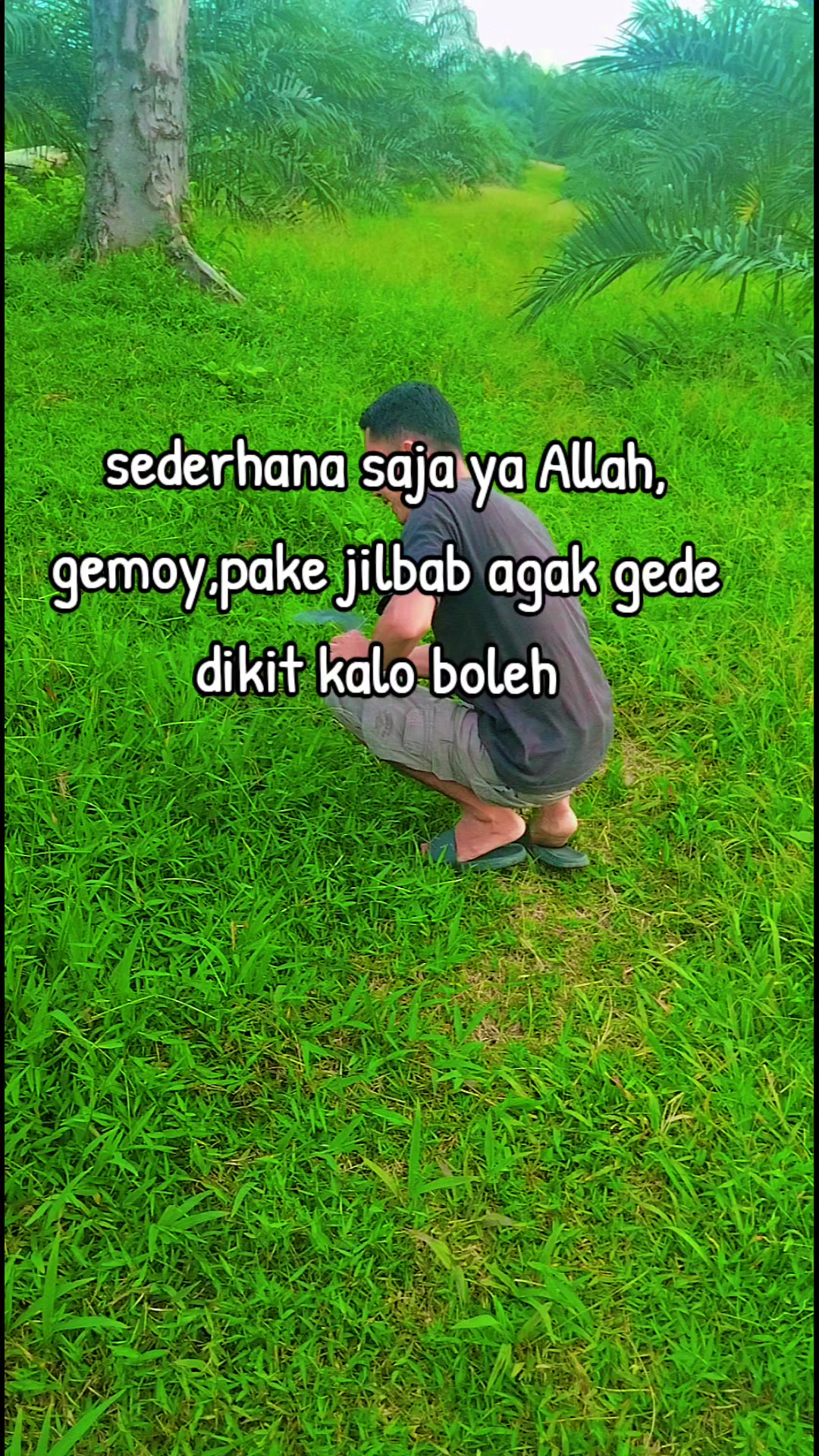 @Ginok