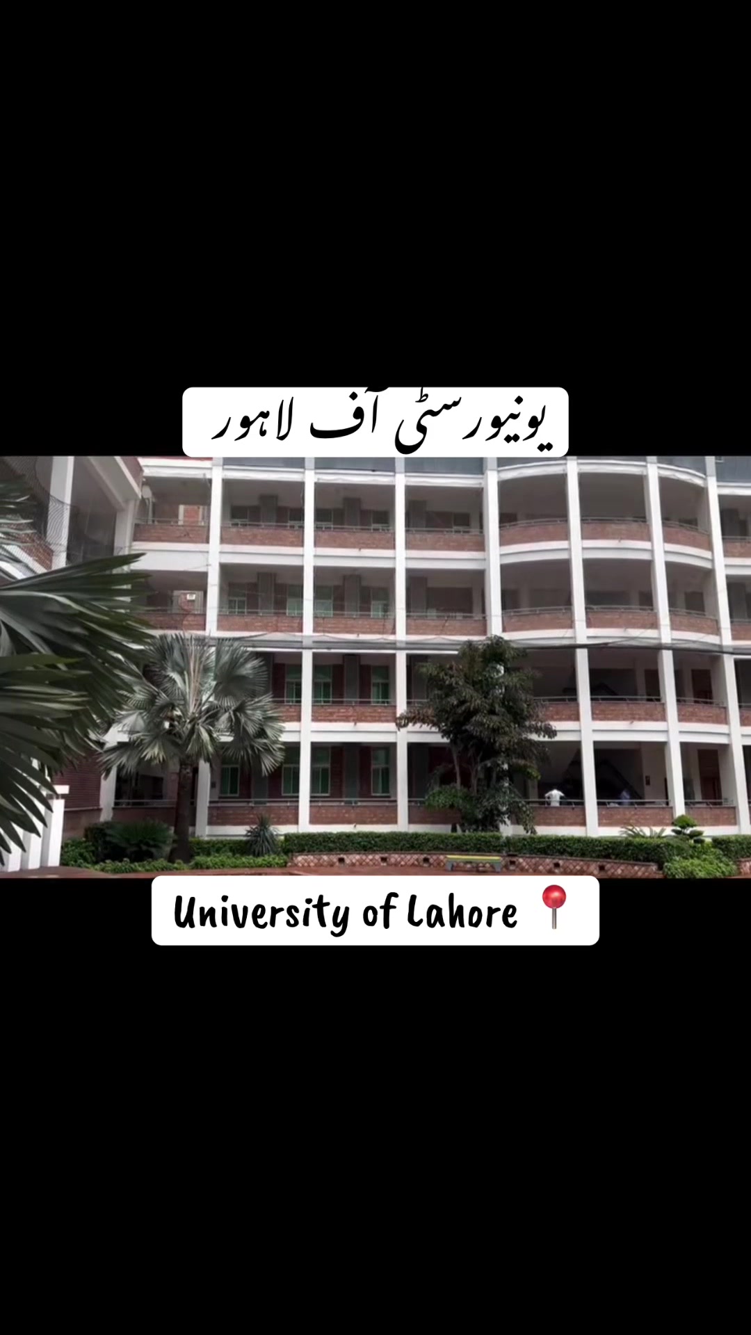 @doctor_rimal