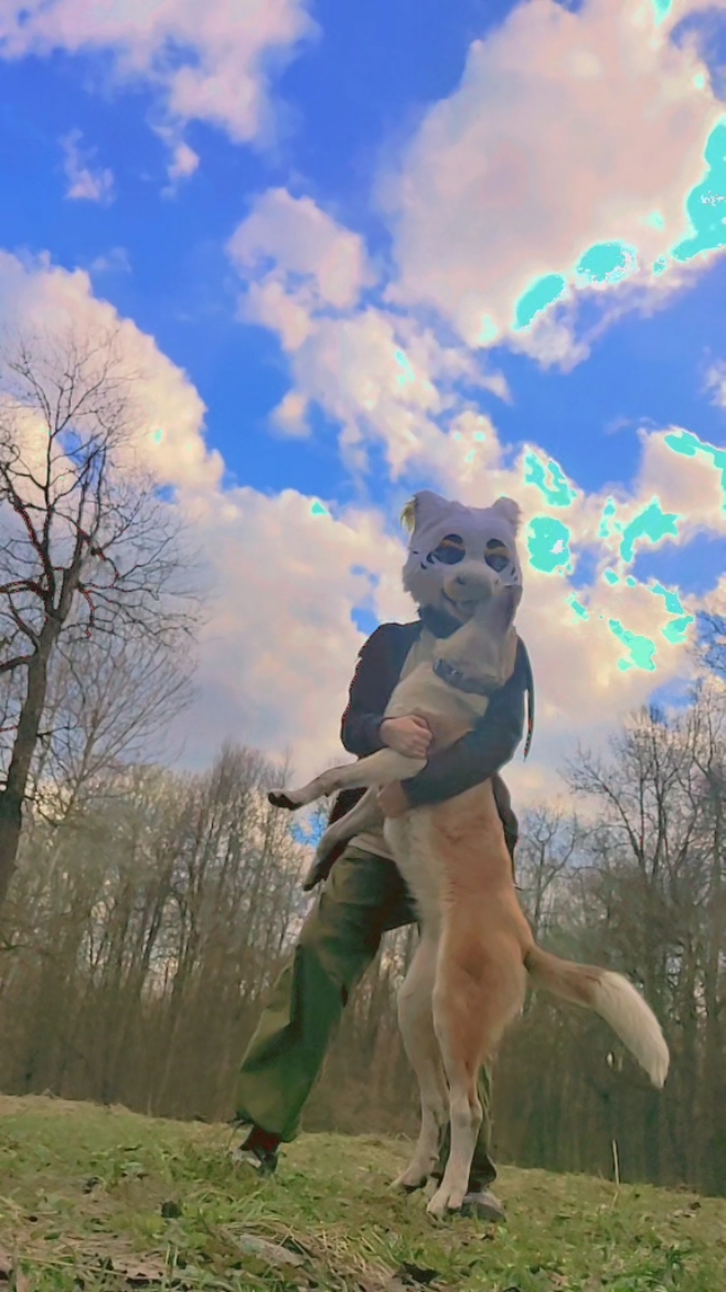 @silly doggo | @
