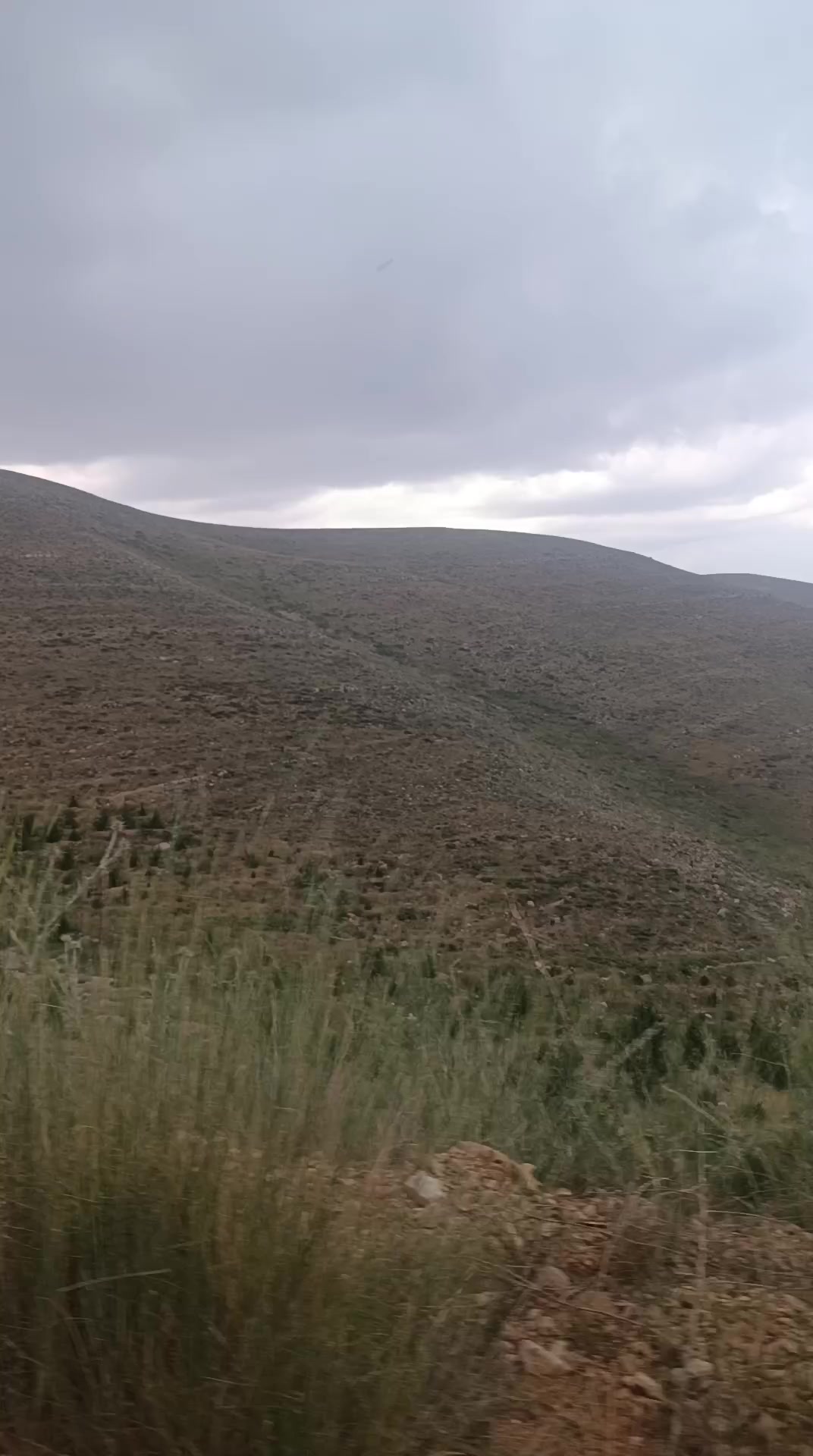 @Nazif Geriş