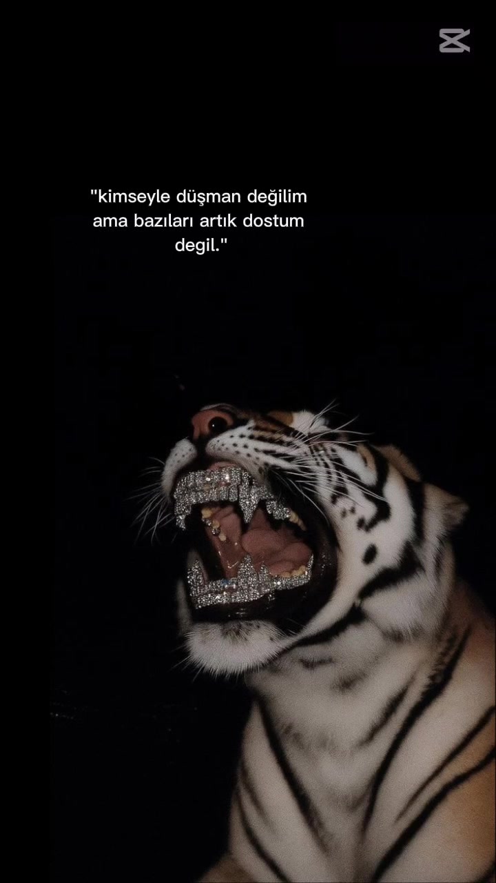 @โจ๐๐๐๐๐๐๐๐๐๐โจ
