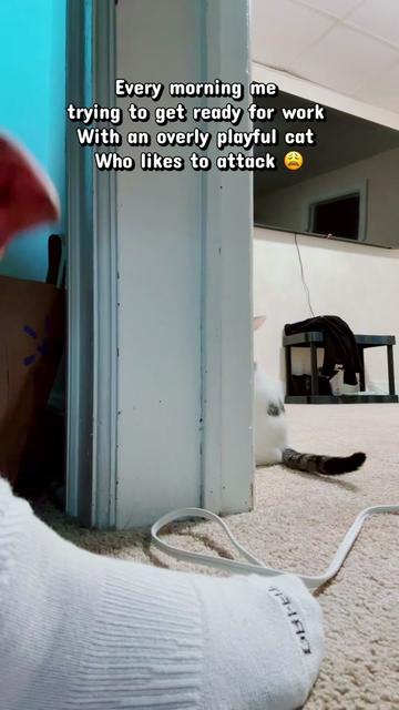 @Just_QueenAshley