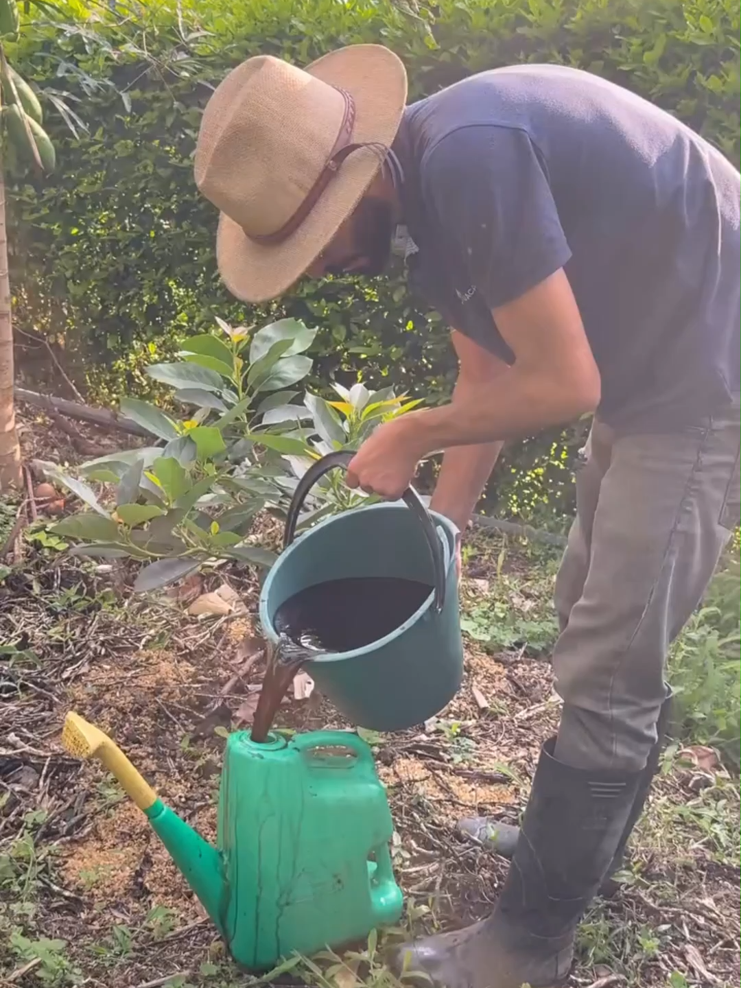 @Tu jard&iacute;n en casa