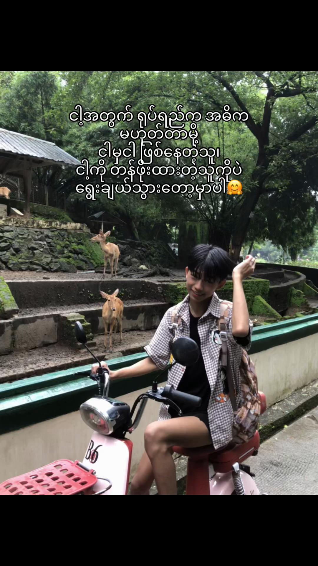 @Lin Lin