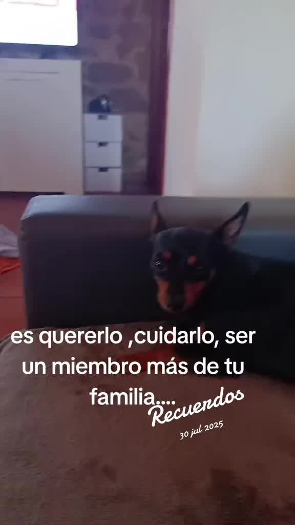 @Martín y Carlota