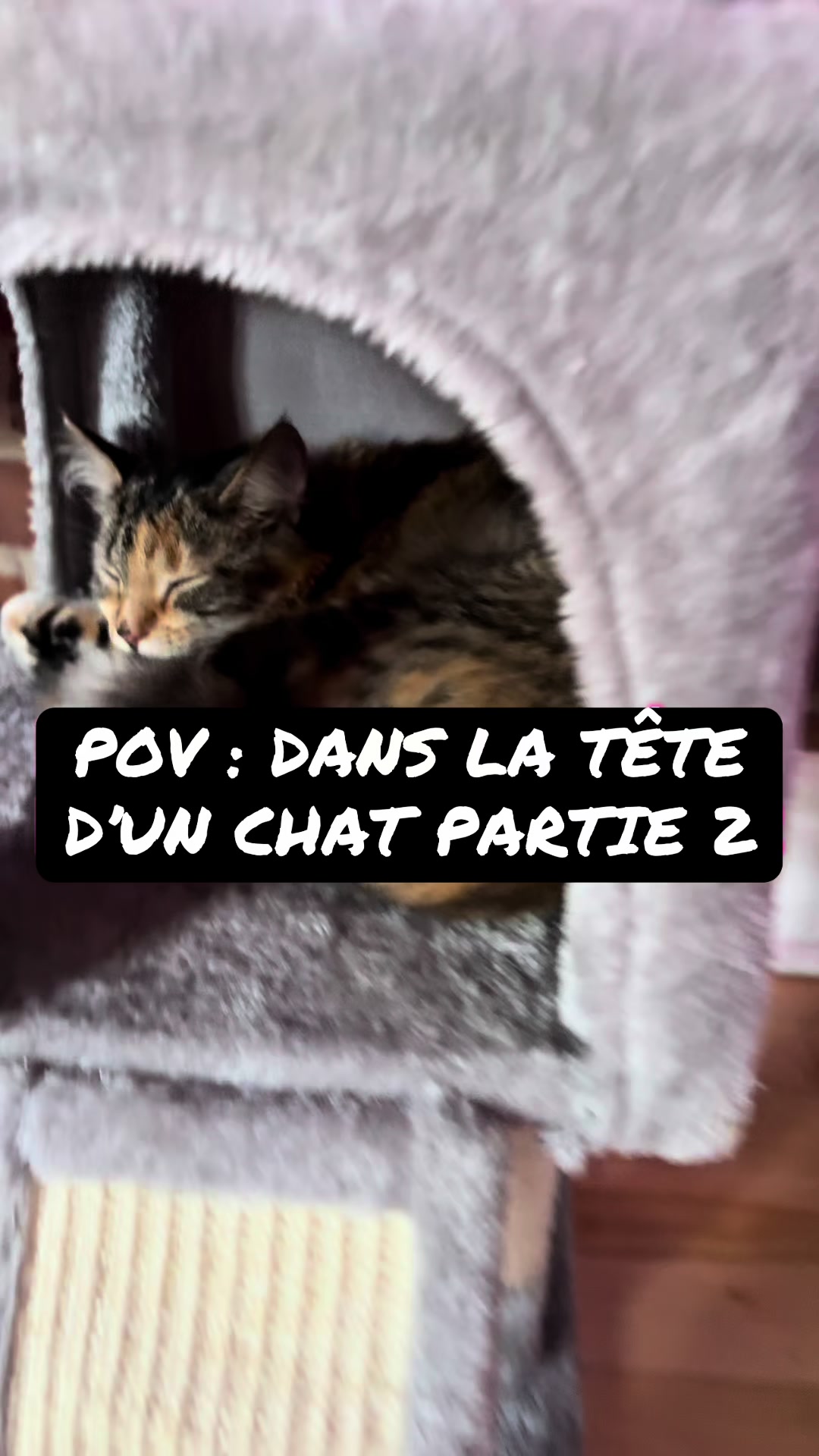 @Sam Vitulano-Arsenault