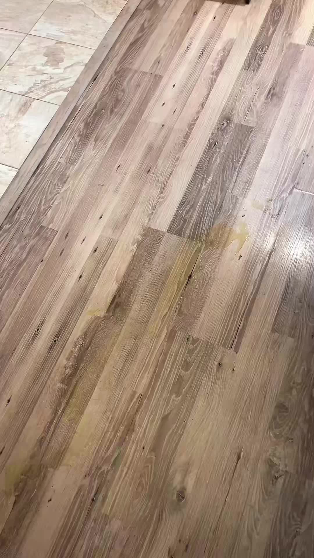 @charliethecharmingpup
