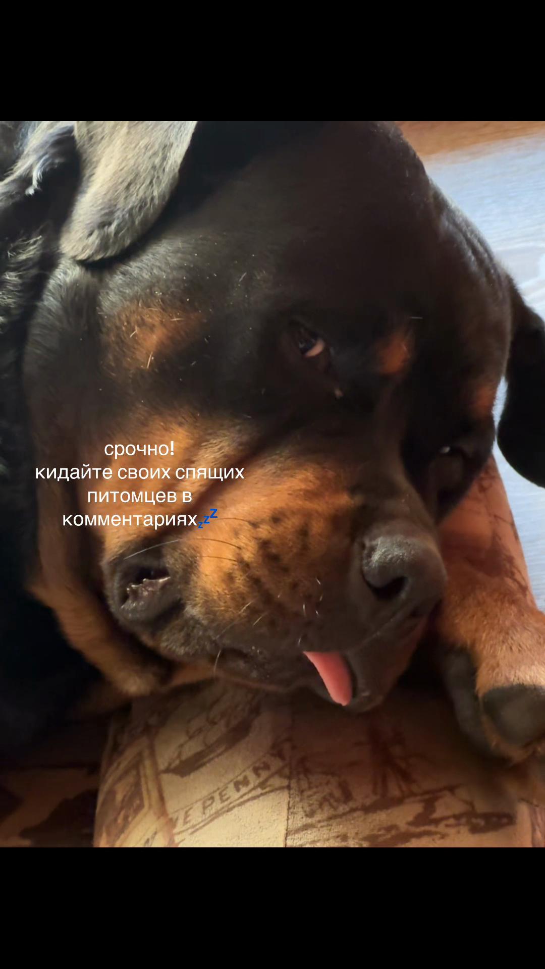 @vircruft
